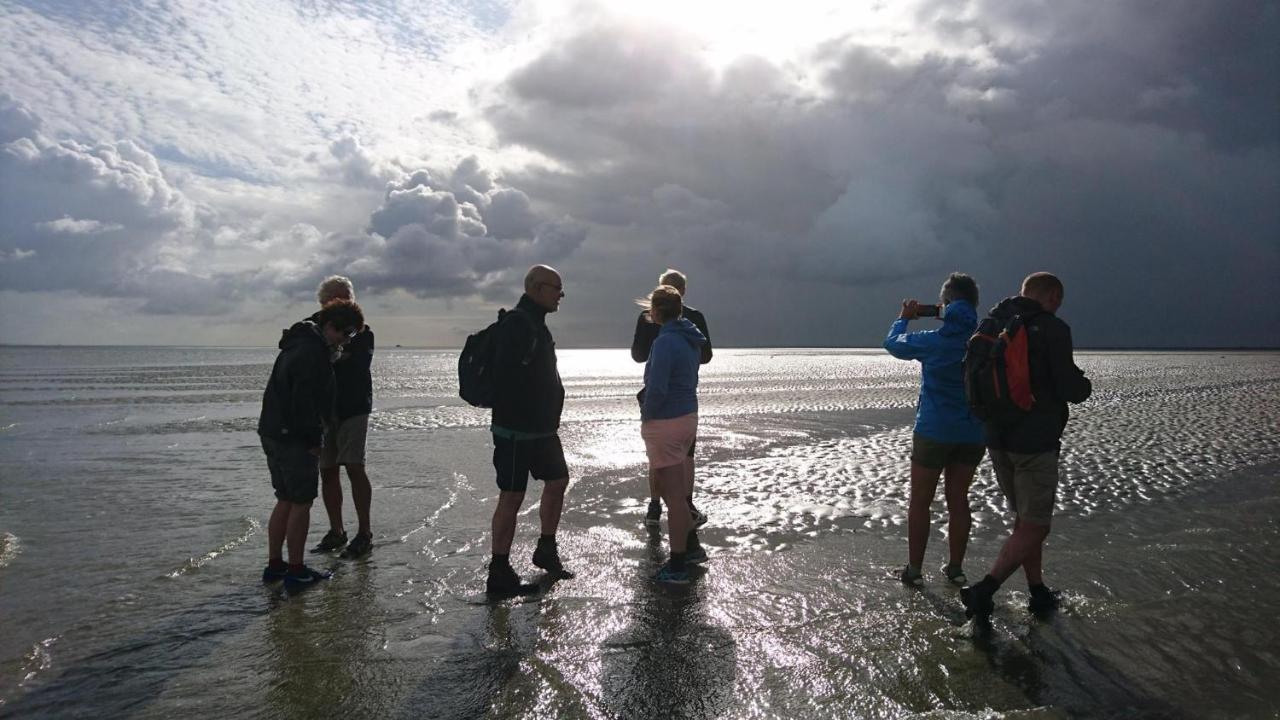 Huize Moddergat! Sleeping On The Wadden Sea. Βίλα Εξωτερικό φωτογραφία