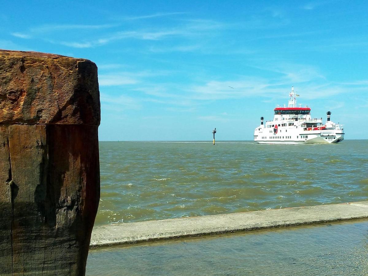 Huize Moddergat! Sleeping On The Wadden Sea. Βίλα Εξωτερικό φωτογραφία